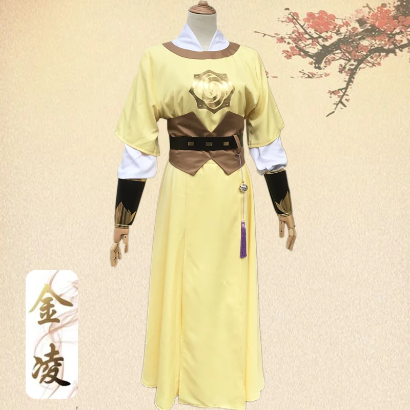 Mo Dao Zu Shi Jin Ling Cosplay - Synthetic Wigs recension och pris
